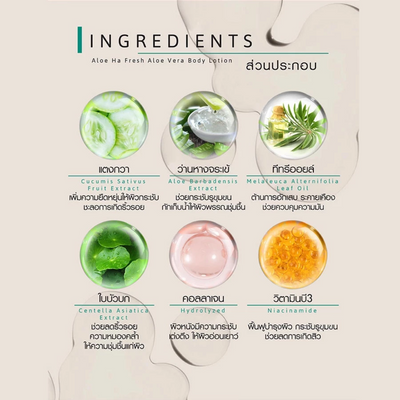 Aloe Vera body lotion from Cathy Doll