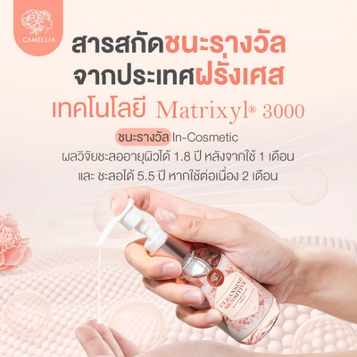 Camellia Witch Hazel & Rose Hip Cleanser