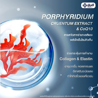 Anti-aging night cream for wrinkle reduction and skin renewal