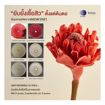 Tery Serum Moisturizer for sensitive skin