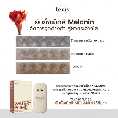 Tery UV Protection Sunscreen for Sensitive Skin