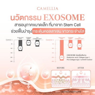 Camellia Lightweight PH Balance Serum