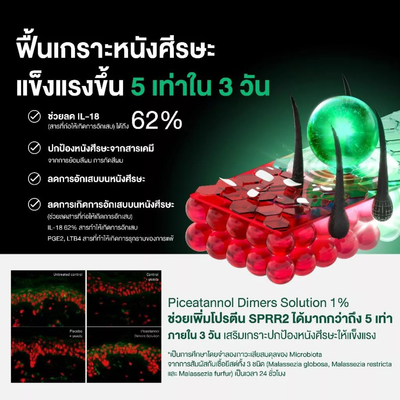 Dr.PONG Yuzu Ceramide Piceatannol Scalp Serum