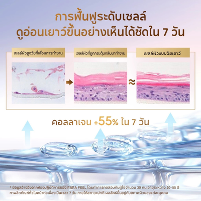 Luxurious gold-accented PAPA FEEL Cellular Cream