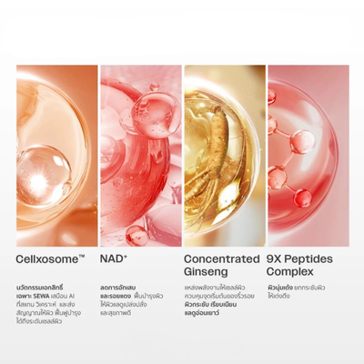 Sewa Ginseng NAD Essence