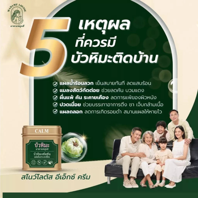 Snow Lotus EX cream for irritation